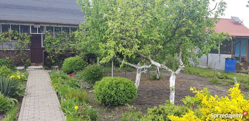 Sprzedam działkę rekreacyjną Mińsk Mazowiecki