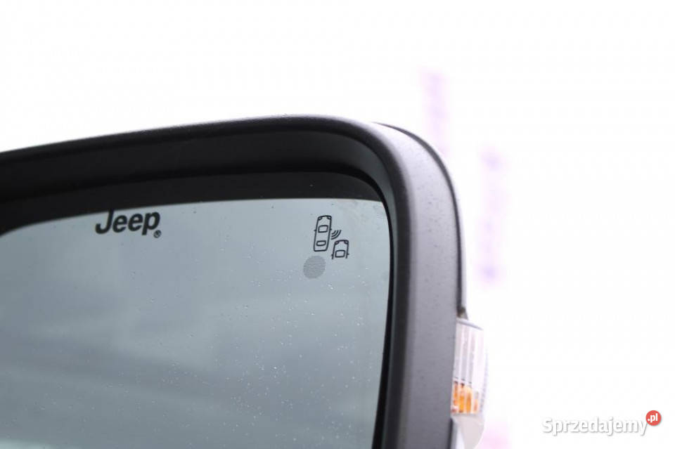 Jeep Renegade 2021r ACC Panorama Park Assist Kam Gdańsk