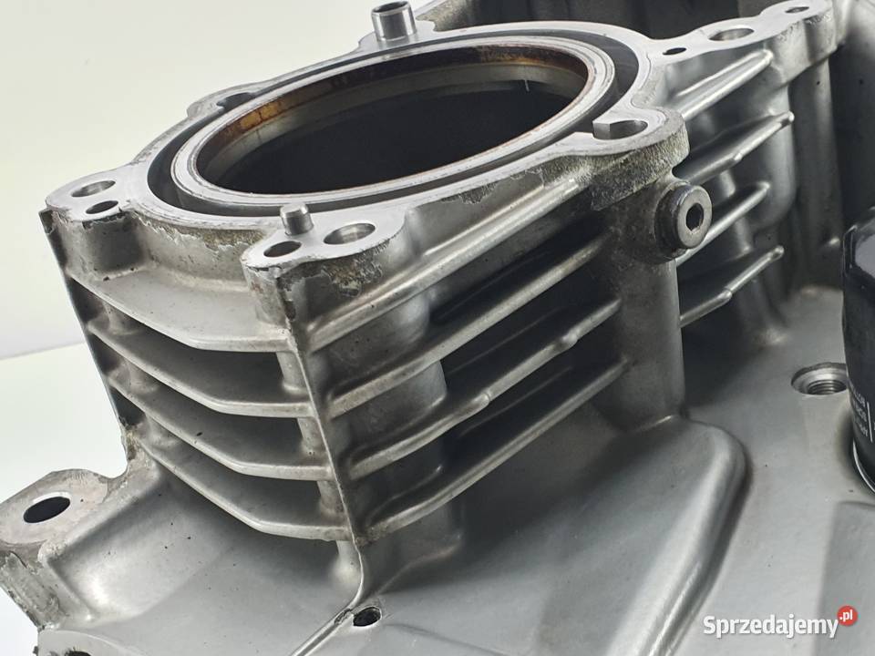 Blok Silnika Korpus Cylinder Bmw R 1200 Gs 1318 Łódź sprzedam