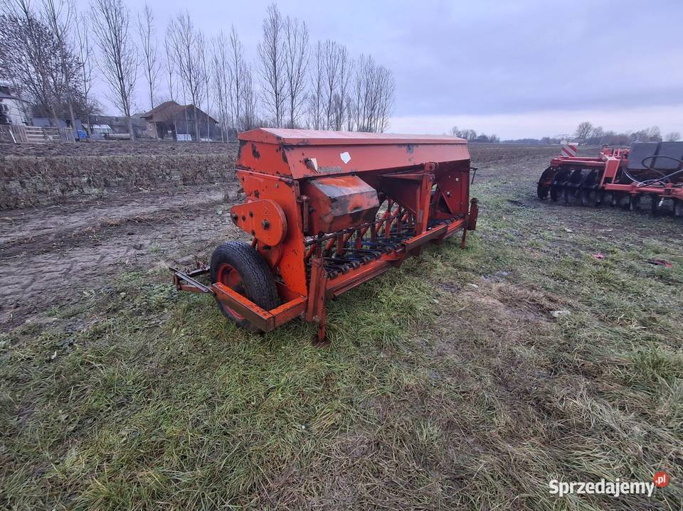 Stegsted 25 siewnik zbożowy Busko-Zdrój sprzedam