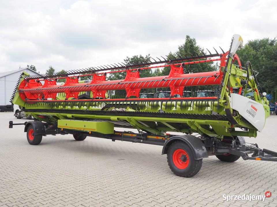 Claas Convio Flex 930 Heder do zboża rzepaku wielkopolskie Stęszew