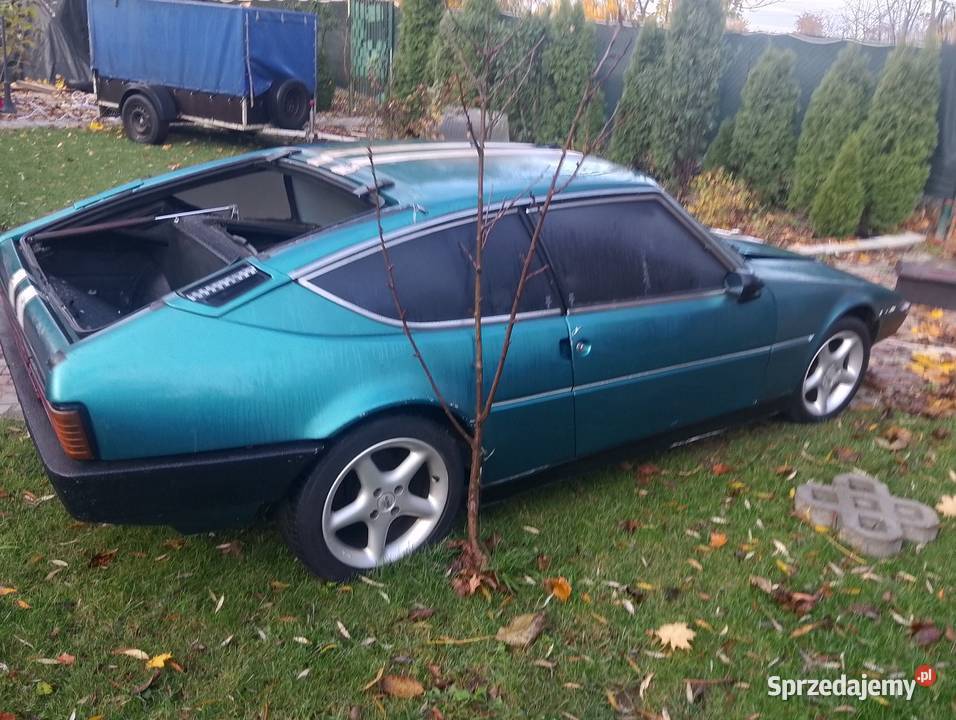 Sprzedam simke Płock sprzedam