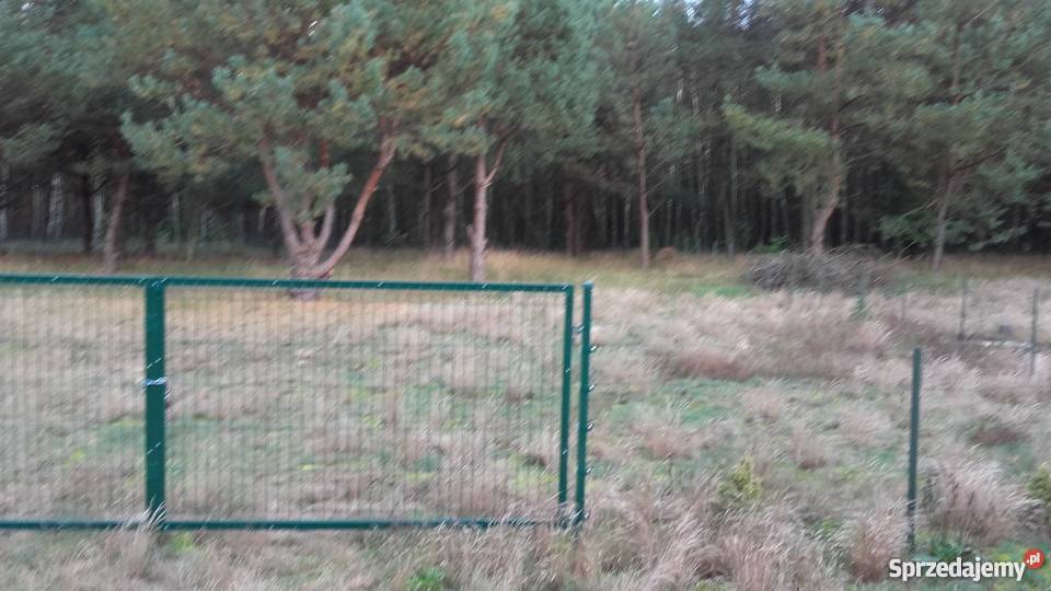 45 WARSZAWY BEZPOŚREDNIO Grunty i działki sprzedam