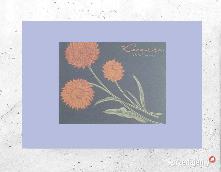 kwiaty plakat vintage botaniczny obrazek A4 kujawsko-pomorskie Bydgoszcz