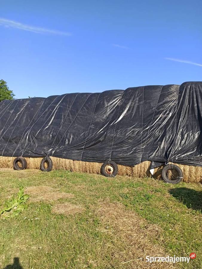 Słoma pszenżytnia mazowieckie Latowicz