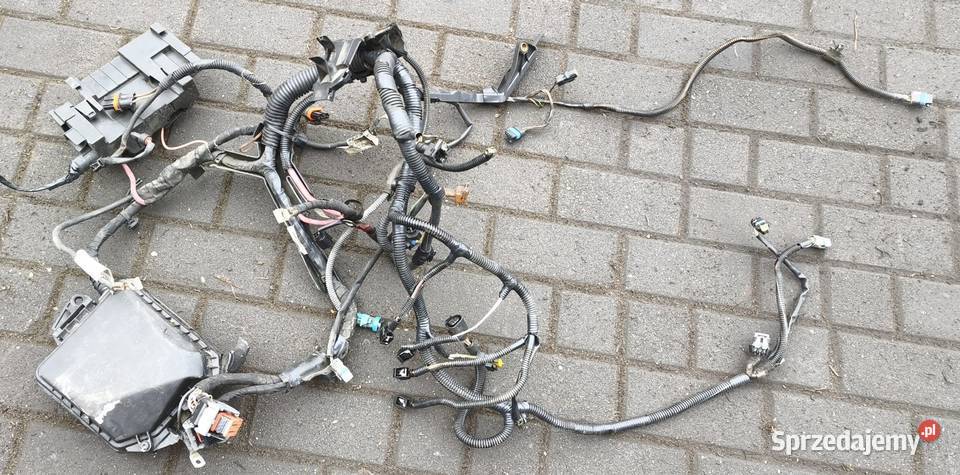 Wiązka elektrycznaskrzynka bezpieczników Renault