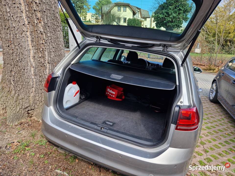 WV GOLFVII Jasienica