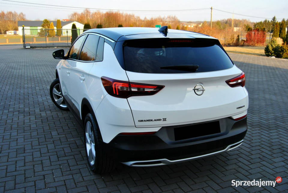 Opel Grandland X FUL Kamera NAVI LEDY OPŁACONY Grandland X lubelskie Modliborzyce