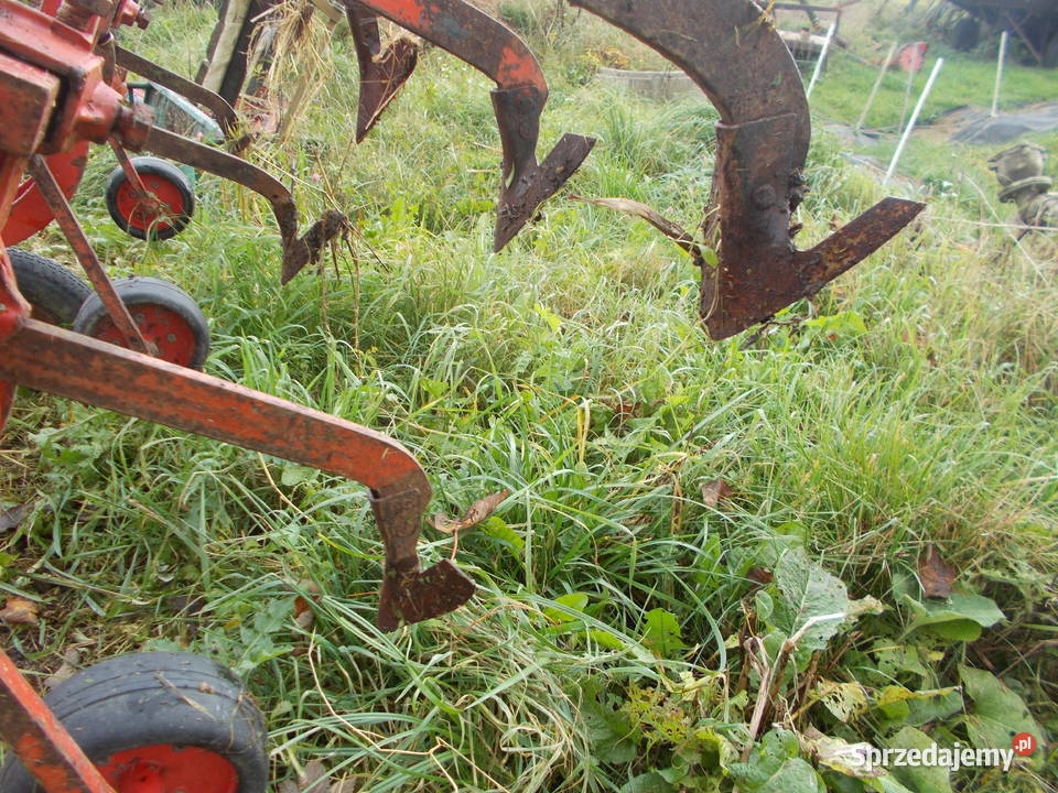 Opiełacz pielnik międzyrzędzi podlaskie Karasiewo