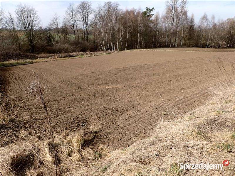 Pole z dojazdem 30ar Kościejów gm Racławice 3000m2 małopolskie