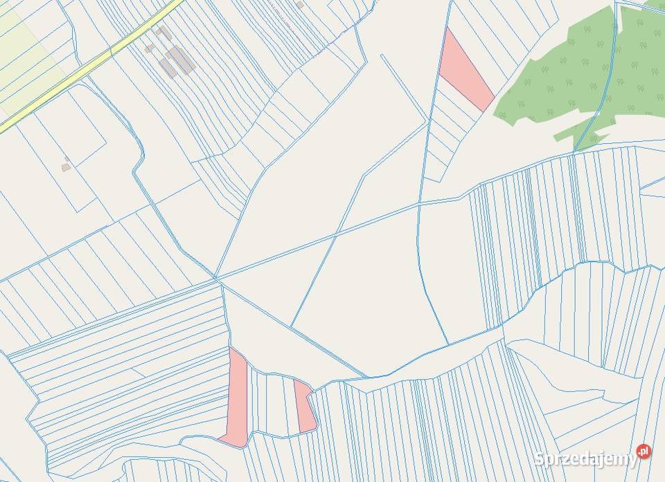 Działki rolne na sprzedaż Myślibórz Kolno gm 5zł/m2