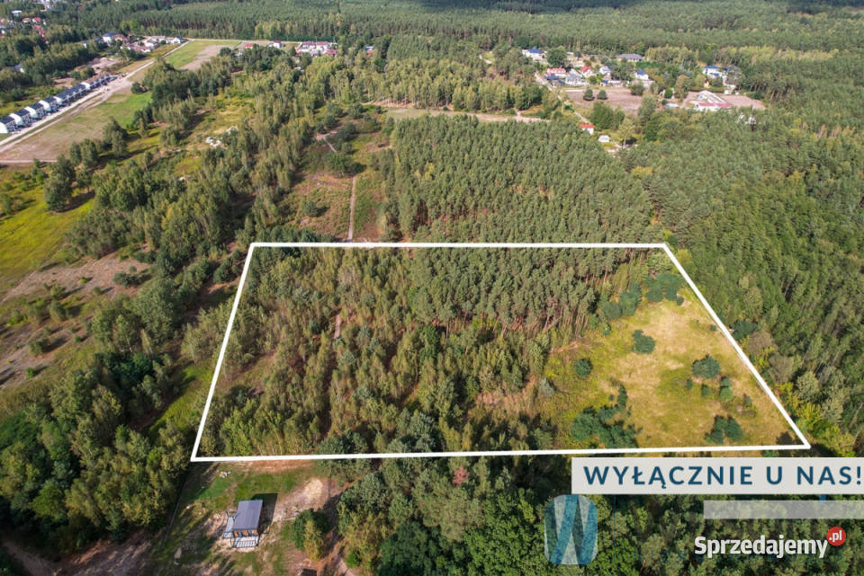 sprzedaży działki Nadma Wrzosowa 21132m2 180m Sprzedaż
