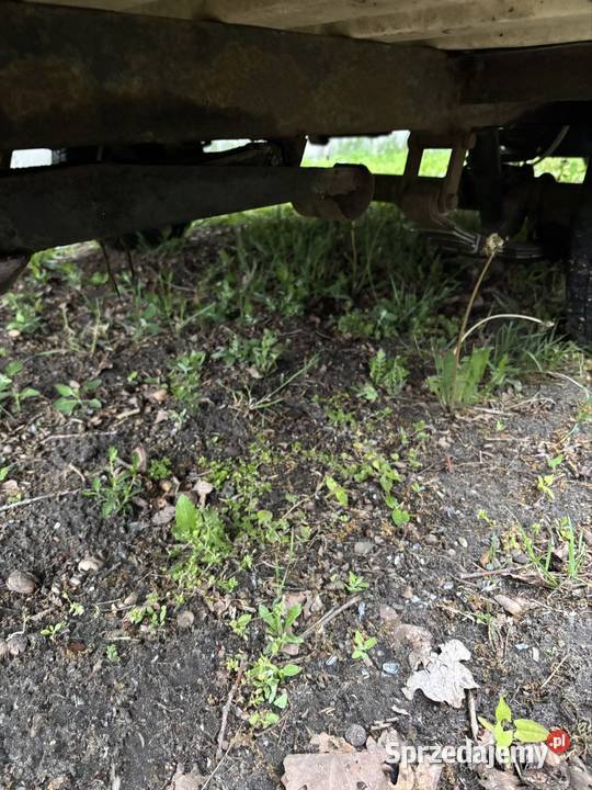 Przyczepa kempingowa Niewiadów N126e zamiana na Niewiadów Motoryzacja Marki