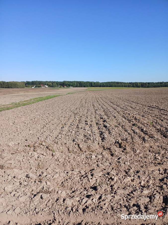 Pług unia grudziądz 5x35 Potok Rządowy