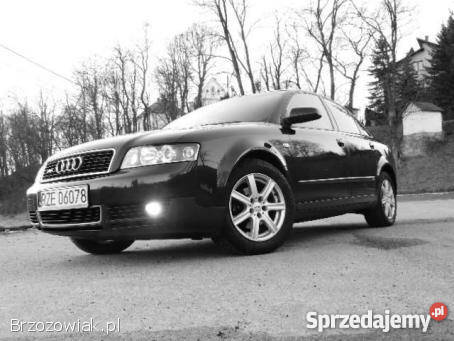 Audi a4 2003 19 TDI serwisowany w ASO Hyżne