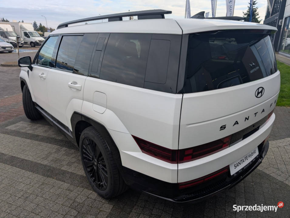 Caligraphy 16 TGDI HEV 6AT 4WD 6os Creamy White