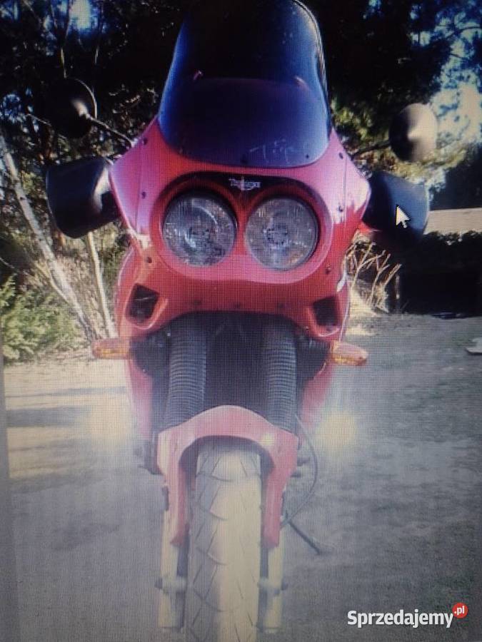 Triumph Tiger 900 nieuszkodzony Triumph