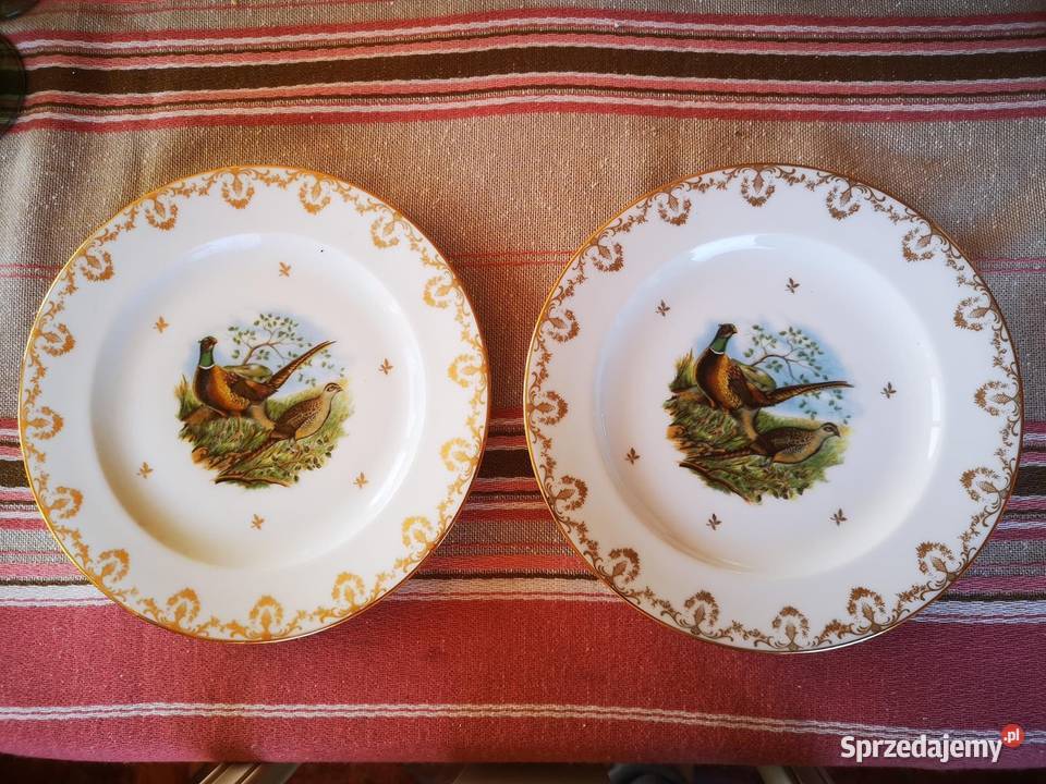 Serwis z ptakami Limoges Francja