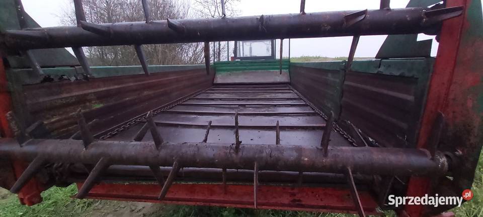 Rozrzutnik obornika czarno białostocka Izbica Kujawska