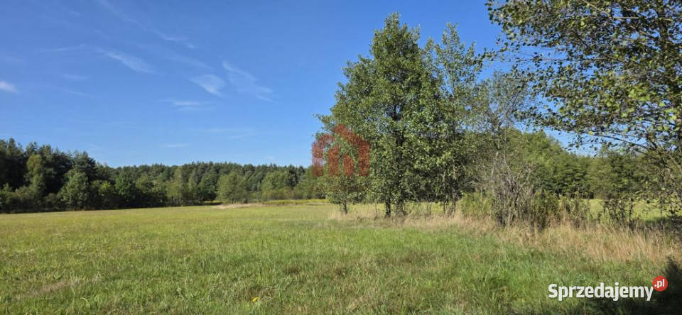 sprzedaży gruntu Sędziszów Małopolski 1600m2 1600m2 podkarpackie