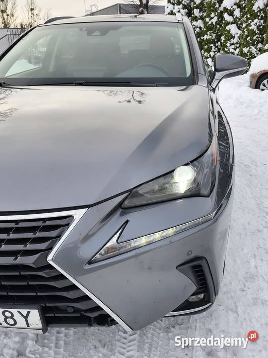 Lexus NX I 2014 2021 20 NX300 Turbo AWD zadbany warmińsko-mazurskie Olsztyn sprzedam