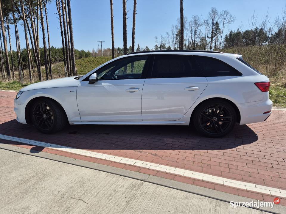 Audi A4 B9 20 TDI 190 2x Sline quattro radio Włoszczowa