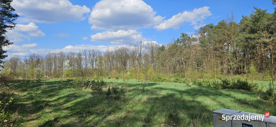 Działka budowlana 1000M2 WZ BRZÓZA