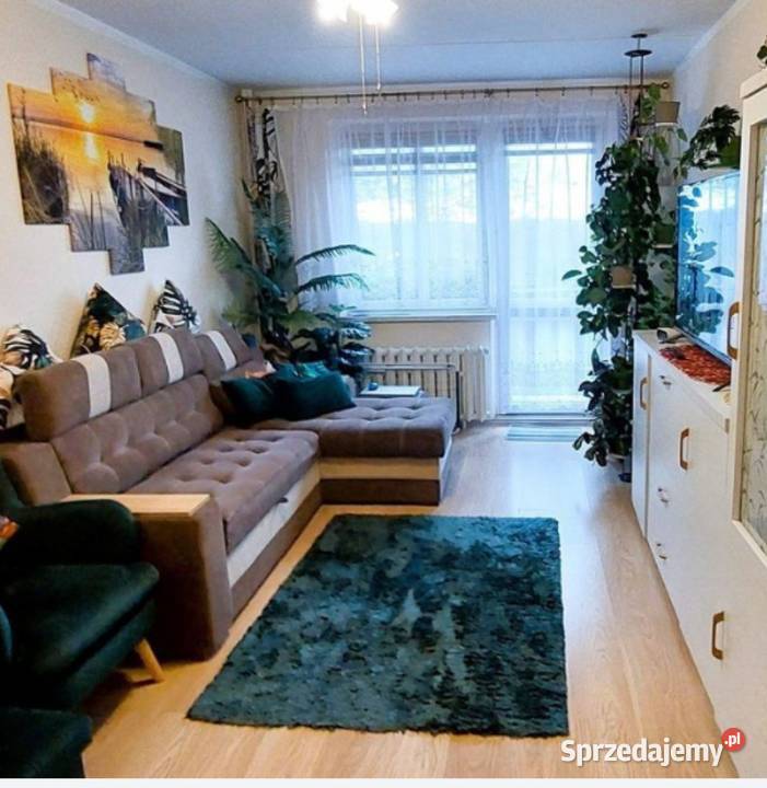 M4 II p Pogwizdów śląskie