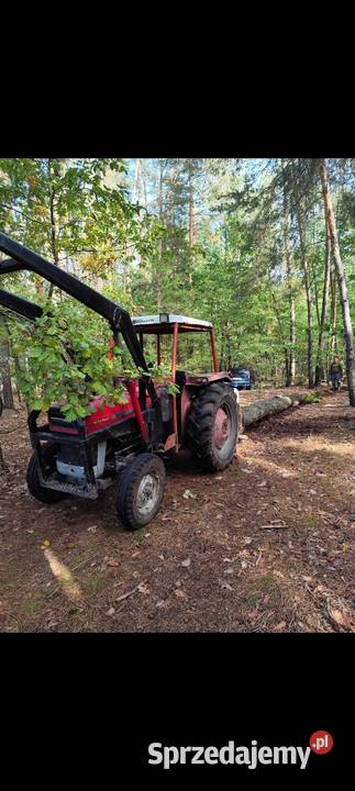 Massey Ferguson 135 Lubartów