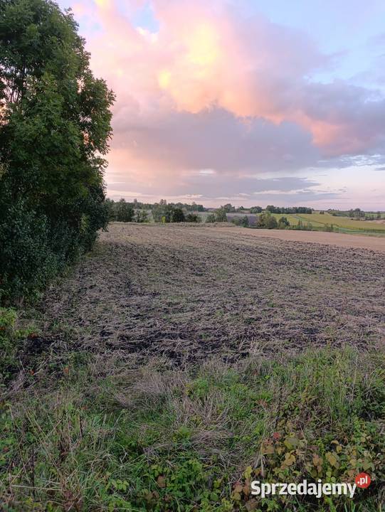 Działka Lesie 7 Uzdrowiska BuskoZdrój 30ar 60ar 100m Nieruchomości Kobylniki