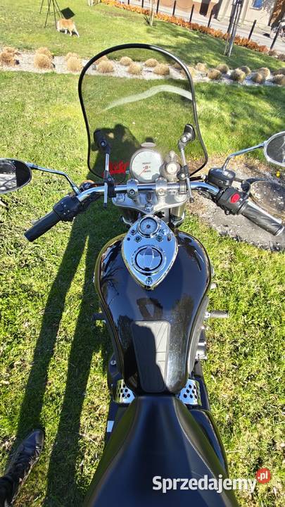 Triumph speedmaster nieuszkodzony wielkopolskie Trzemeszno sprzedam