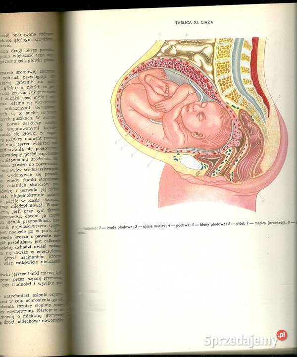 Lekarski poradnik domowy red BZaremba 1973