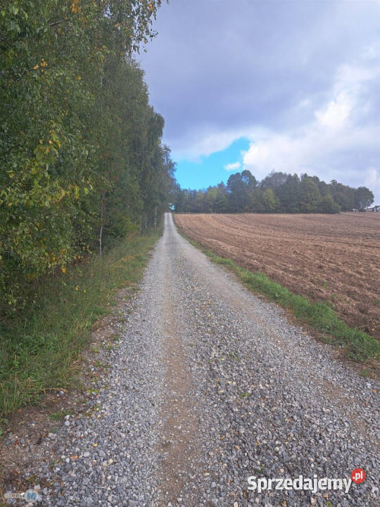 sprzedaży gruntu 8879m2 Łagów