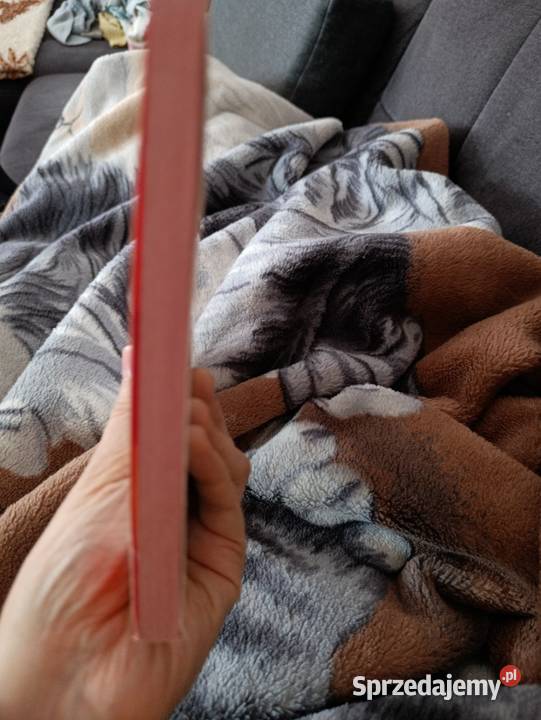 Angielski Baw się i ucz 3 CD Poznań