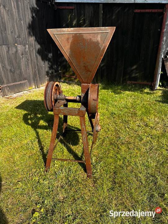 Śrutownik Kruszwica