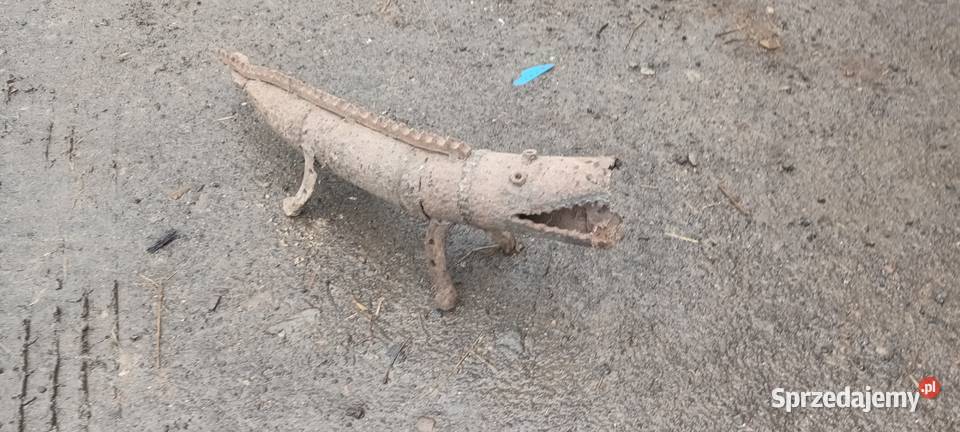 Krokodyl aligator Mymoń