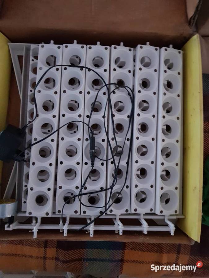 Inkubator do jajej małopolskie Jordanów