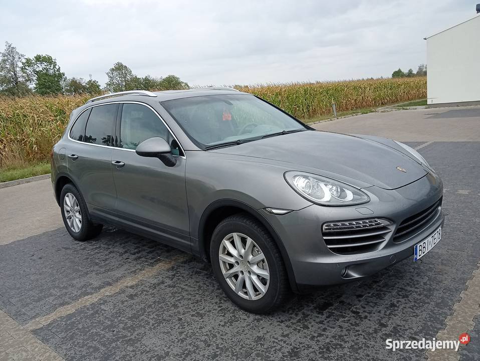 Porsche Cayenne Łubin Rudołty