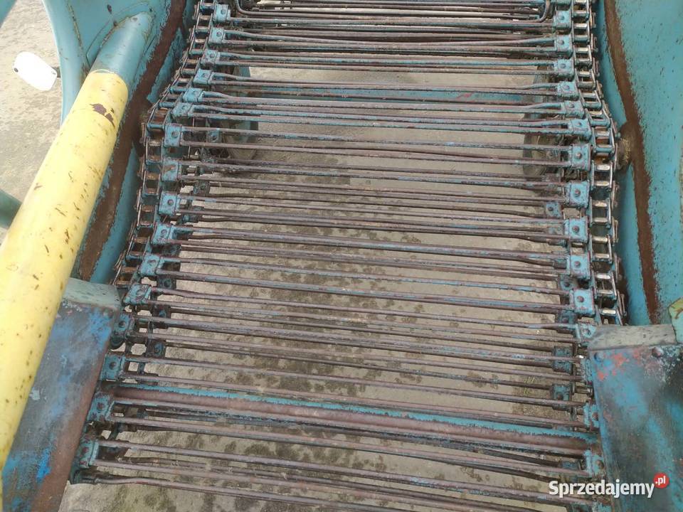 Kopaczka do ziemniaków Elewatorowa 2rzędowa Dąbrowa Tarnowska sprzedam