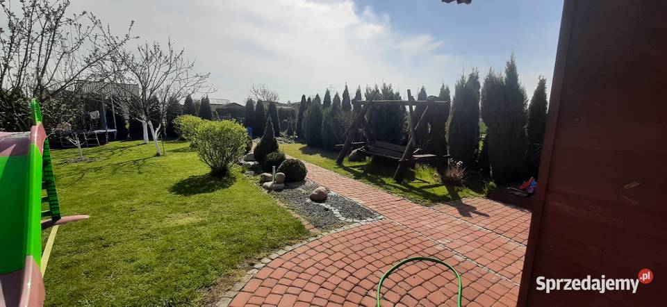 Dzialka rekreacyjna ROD Stokrotka Żory Sprzedaż