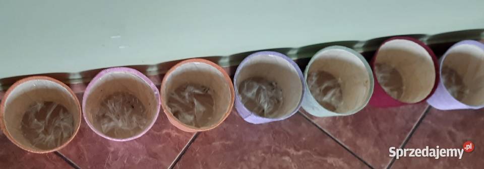 Jutowe kolorowe osłonki na doniczki sztukę Morąg