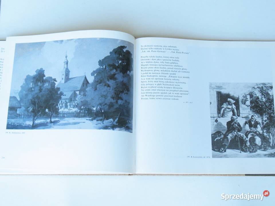 Pan Tadeusz w ilustracjach A Bajdor H Kraków sprzedam