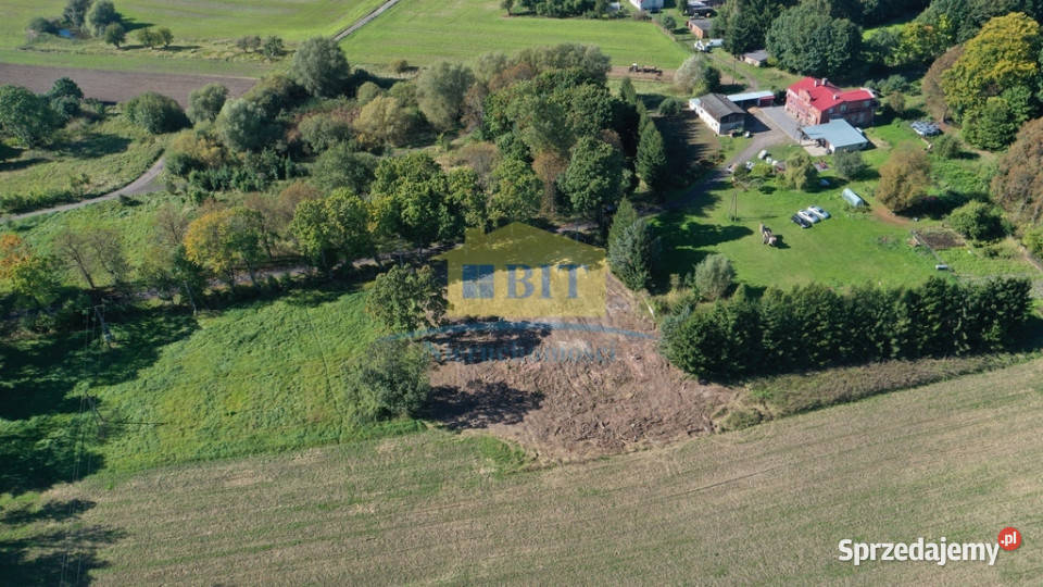 Działka na obrzeżach miejscowości Rzęśnica utwardzona