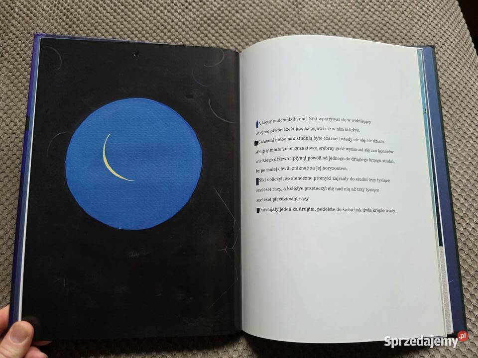 Małgorzata Strzałkowska Zielony i Nikt twarda Książki dla dzieci Kraków