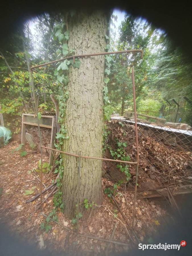 Stelaż do starej przyczepki do plandeki ogrodowy mazowieckie Warszawa