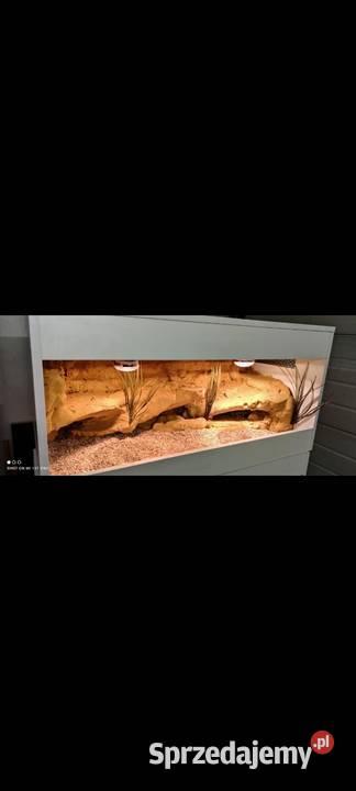Okazja terrarium agamy gekona żółwia węża Radom