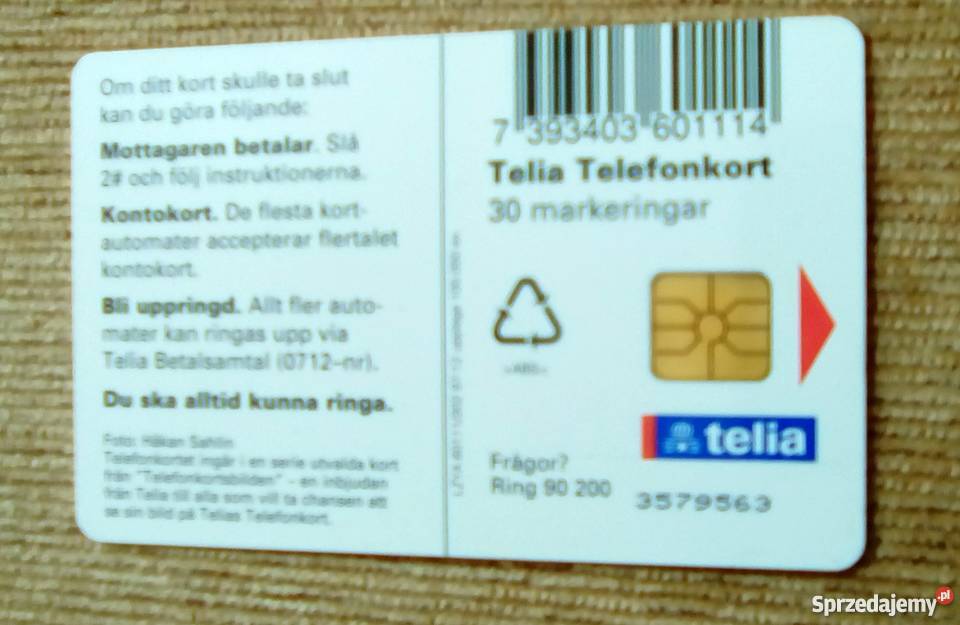 MASKONUR ZWYCZAJNY PTAK WODNY Z RODZINY ALK lubelskie Piszczac