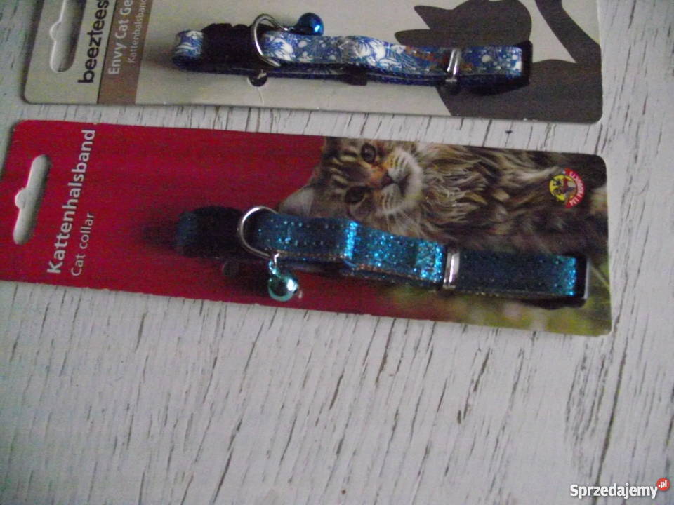 OBROŻA KOTA Z DZWONECZKIEM wielkopolskie Piła