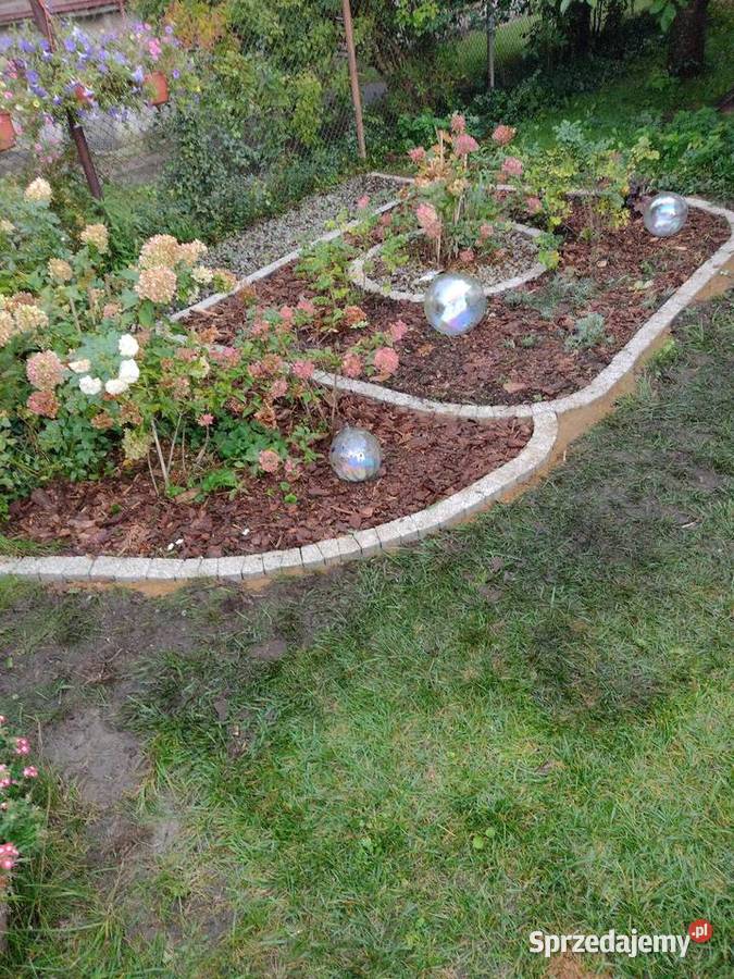 Uslugi ogrodnicze ogród