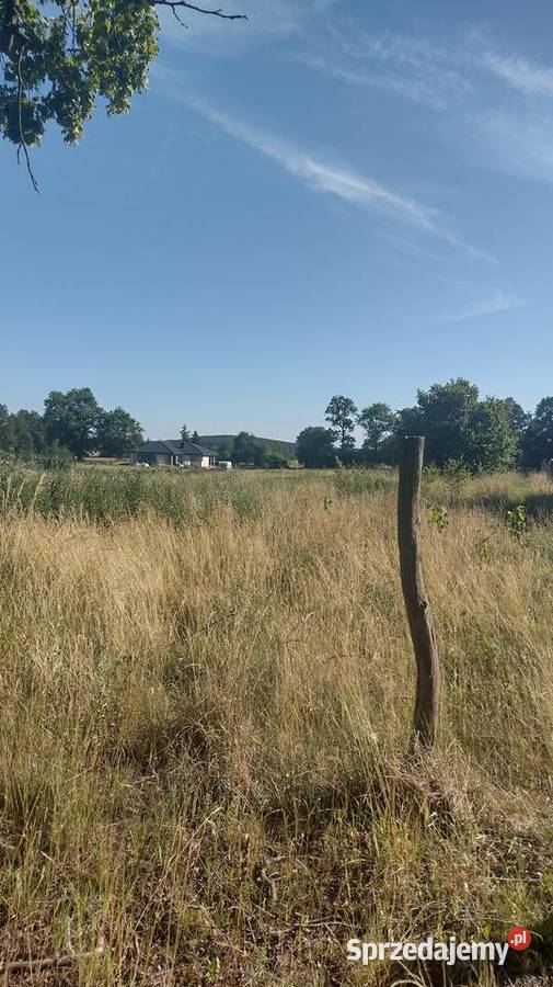 Działki rolnobudowlane z Wydanymi warunkami 42zł/m2 zachodniopomorskie sprzedam